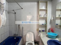 其它图