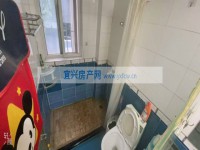 其它图