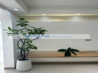 其它图