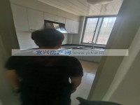 其它图