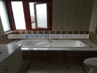 其它图