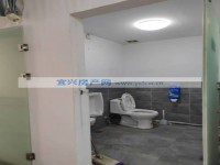其它图