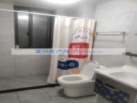 其它图