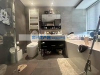 其它图