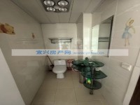 其它图