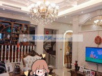 其它图