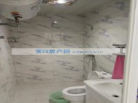 其它图