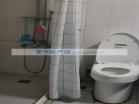 其它图