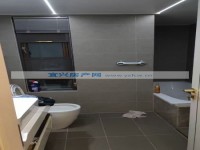其它图