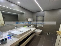 其它图