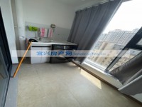 其它图