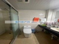 其它图