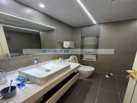 其它图