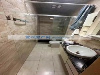 其它图