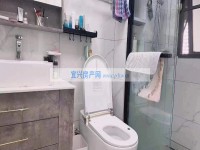 其它图