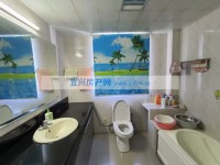 其它图