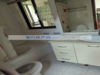 其它图