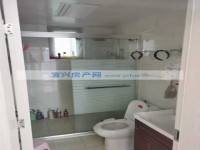 其它图