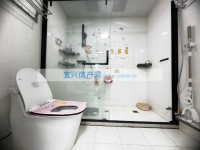 其它图