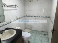 其它图