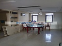 其它图