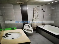 其它图