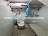 其它图