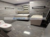 其它图