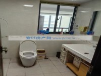 其它图