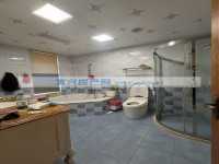 其它图