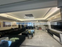 其它图