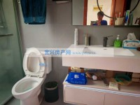 其它图