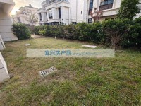 其它图