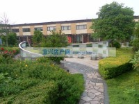 其它图