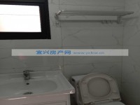 其它图