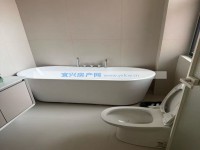 其它图