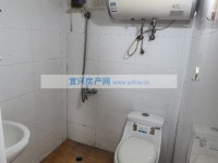 其它图