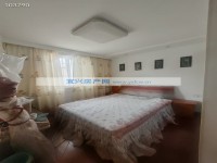 其它图