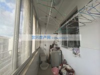 其它图