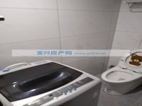 其它图