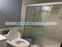 其它图
