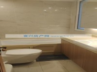 其它图