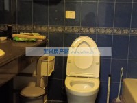 其它图