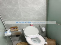 其它图