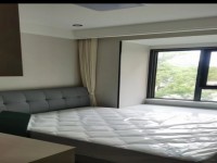 其它图