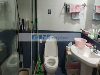 其它图