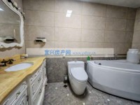 其它图