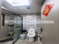 其它图