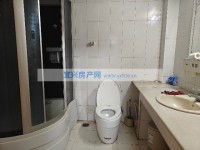 其它图