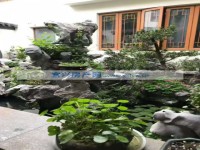 其它图